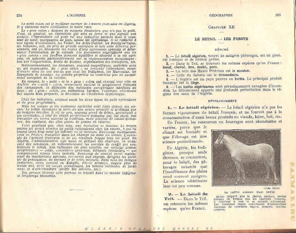 ALGERIE COURS HISTOIRE COLONISATION GEOGRAPHIE ADMINISTRATION  (116).jpg